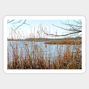 Lake John through the Cattails Sticker